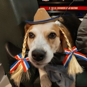 Meet your Posher, Beverly